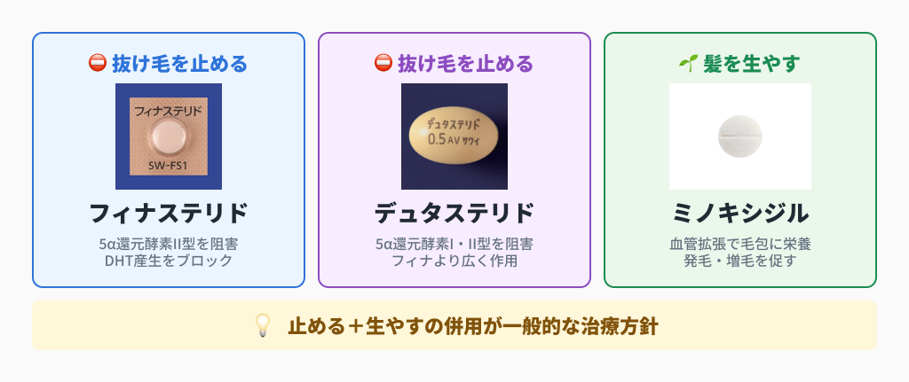 フィナステリド・デュタステリド（抜け毛を止める）とミノキシジル（髪を生やす）の役割